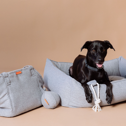 Alpine Dog Carrier - Grey by Molly And Stitch US