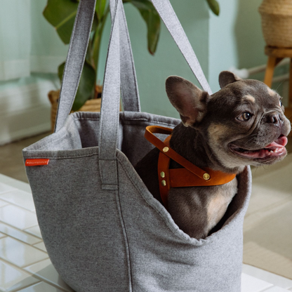 Alpine Dog Carrier - Grey by Molly And Stitch US