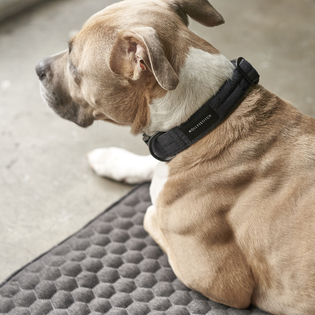 Honeycomb Dog Travel Mat - Grey by Molly And Stitch US