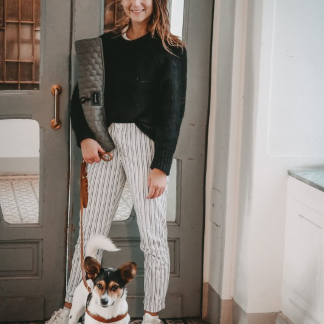 Honeycomb Dog Travel Mat - Grey by Molly And Stitch US