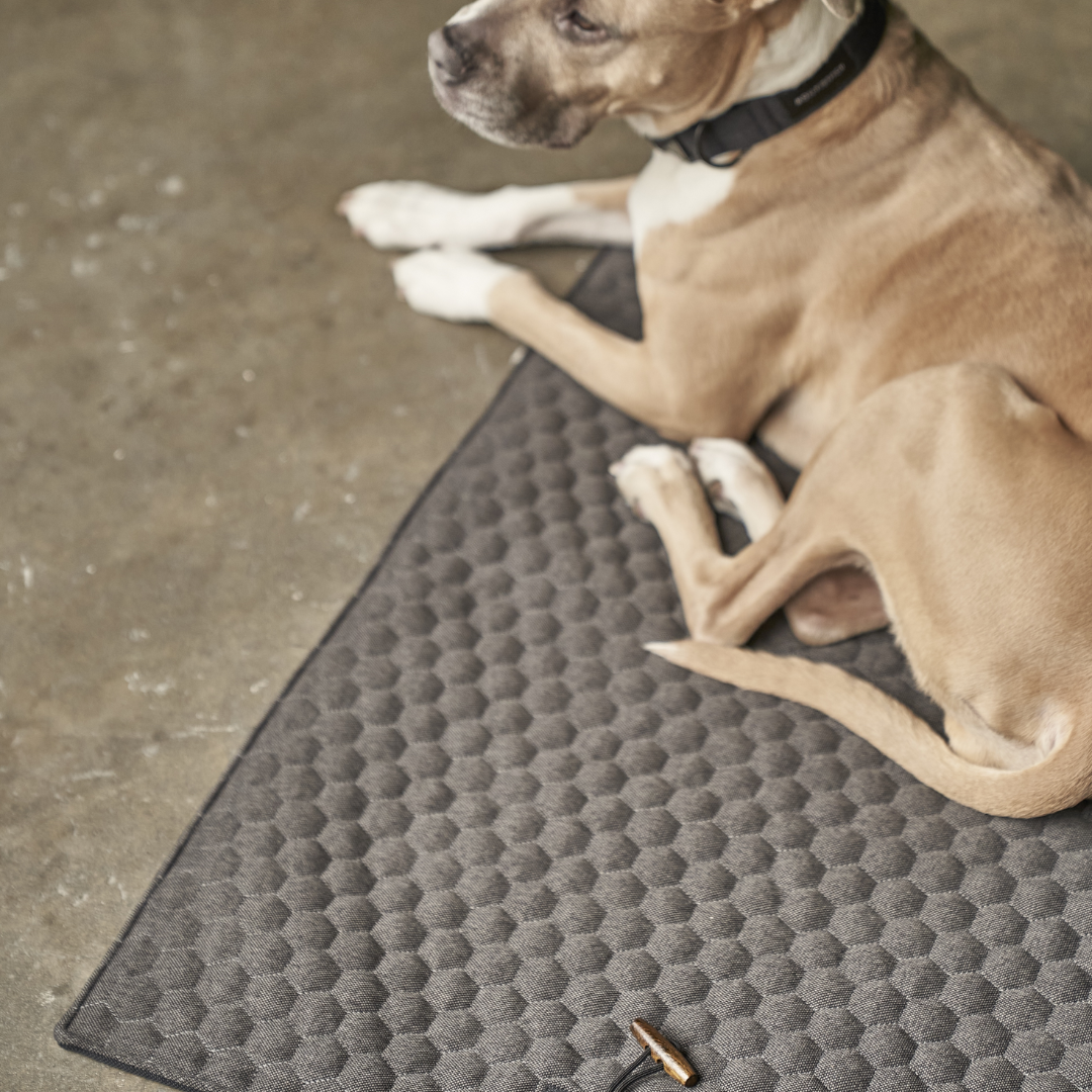 Honeycomb Dog Travel Mat - Grey by Molly And Stitch US