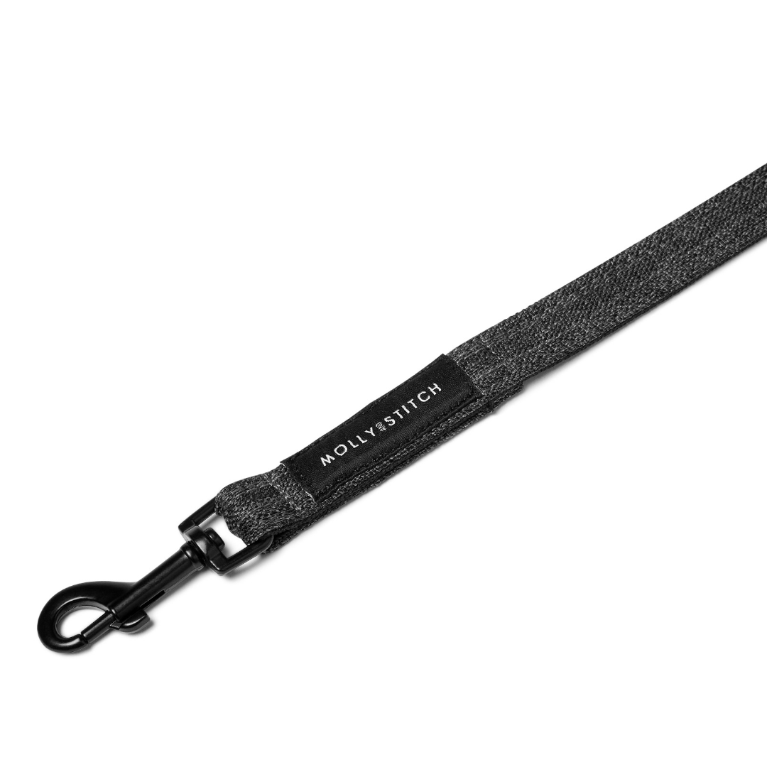 Soft Rock City Leash - Grey by Molly And Stitch US
