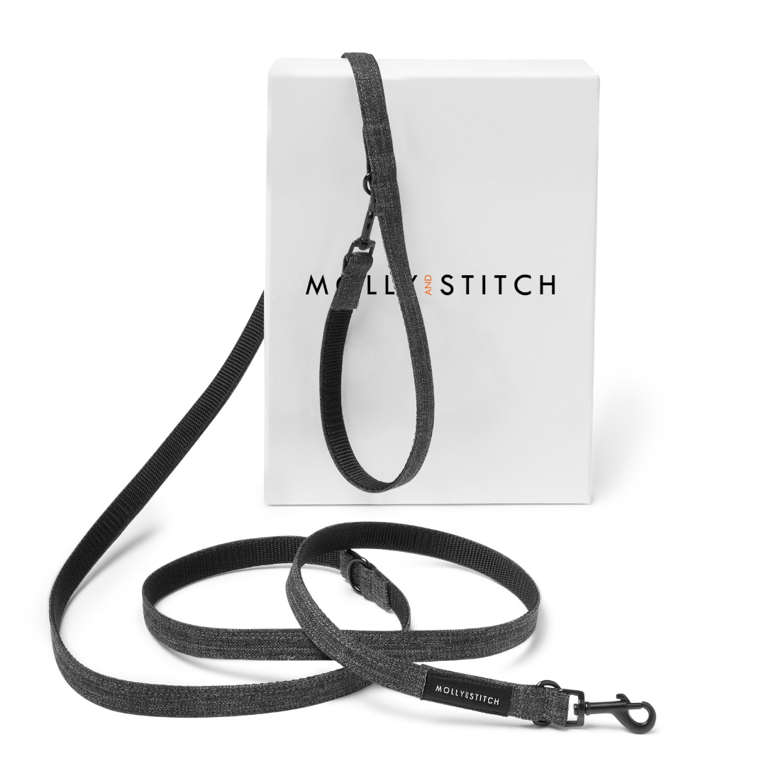 Soft Rock Adjustable Leash - Grey by Molly And Stitch US