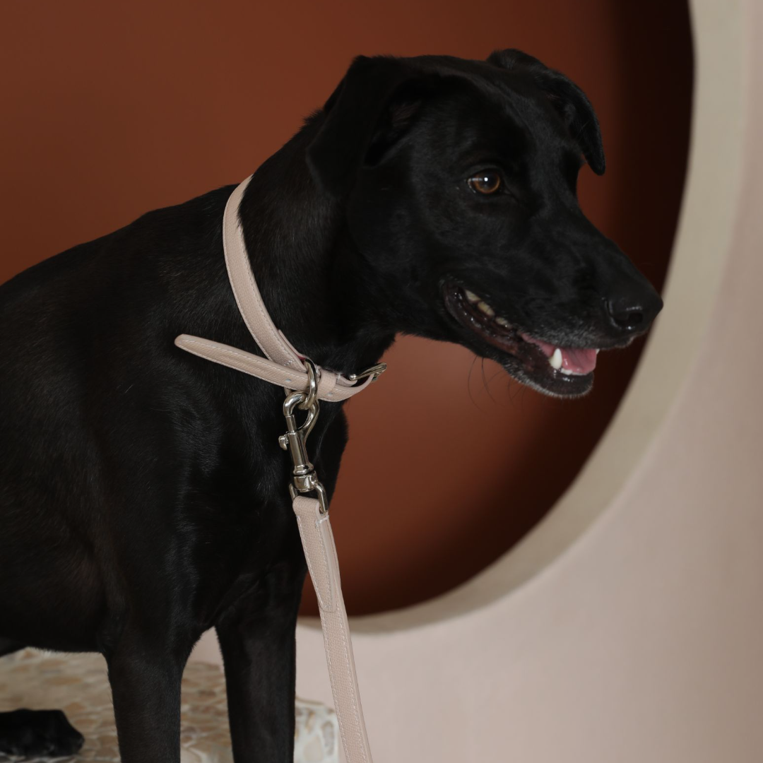 Tuscan Collar - Rose by Molly And Stitch US