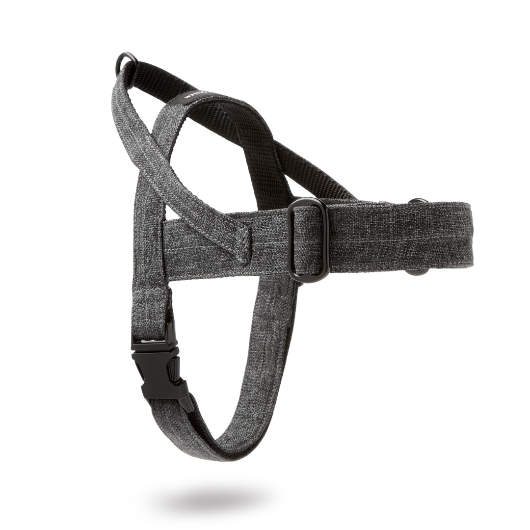 Soft Rock Harness - Grey by Molly And Stitch US