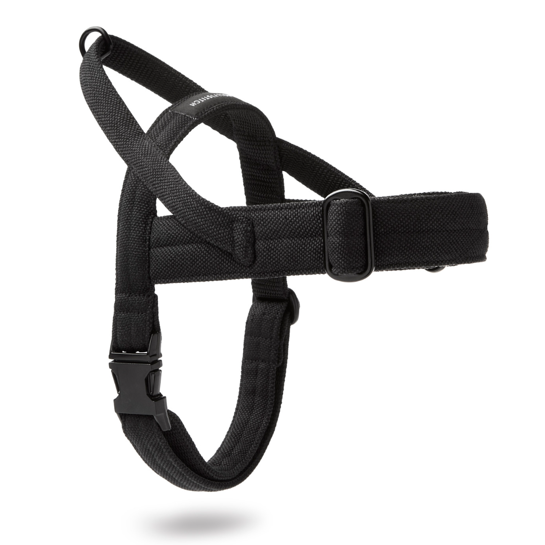Soft Rock Harness - Black by Molly And Stitch US