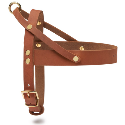 Butter Leather Dog Harness - Sahara Cognac by Molly And Stitch US