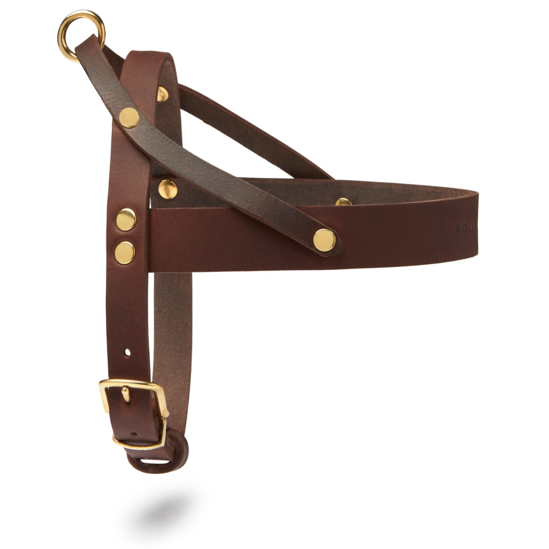 Butter Leather Dog Harness - Classic Brown by Molly And Stitch US