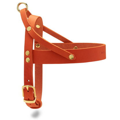 Butter Leather Dog Harness - Mango by Molly And Stitch US