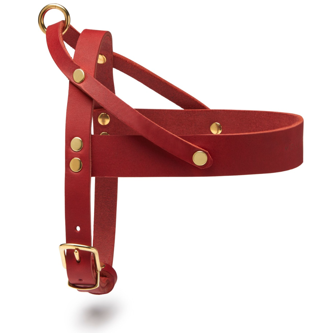 Butter Leather Dog Harness - Chili Red by Molly And Stitch US