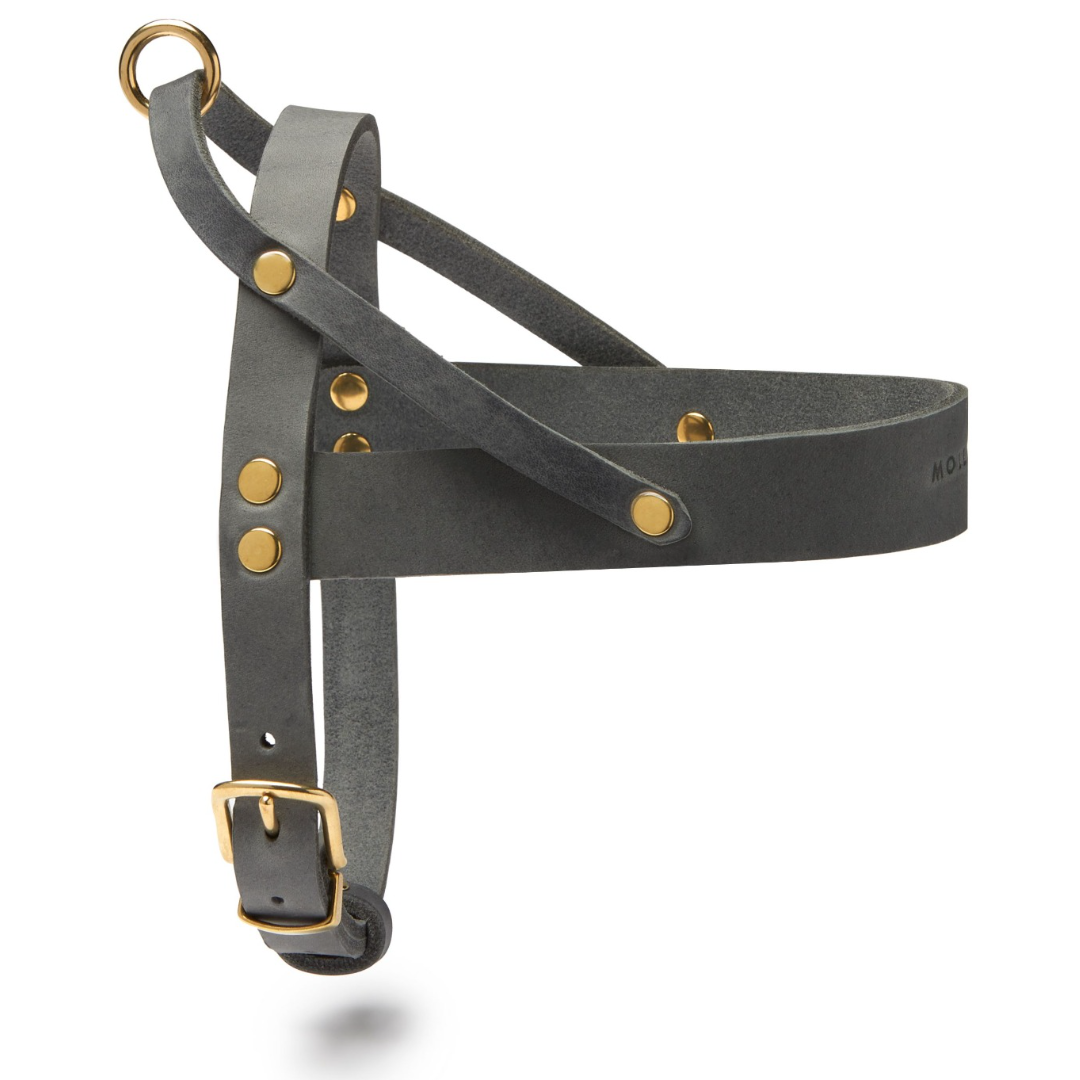 Butter Leather Dog Harness - Timeless Grey by Molly And Stitch US