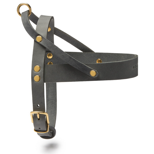 Butter Leather Dog Harness - Timeless Grey by Molly And Stitch US