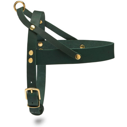 Butter Leather Dog Harness - Forest Green by Molly And Stitch US