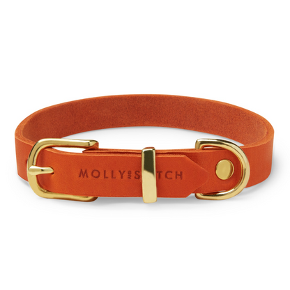 Butter Leather Dog Collar - Mango by Molly And Stitch US