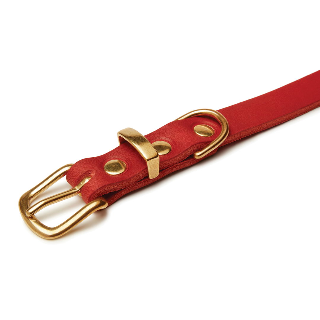 Butter Leather Dog Collar - Chili Red by Molly And Stitch US