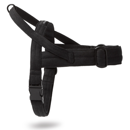 Soft Rock Harness - Black by Molly And Stitch US