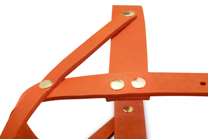 Butter Leather Dog Harness - Mango by Molly And Stitch US