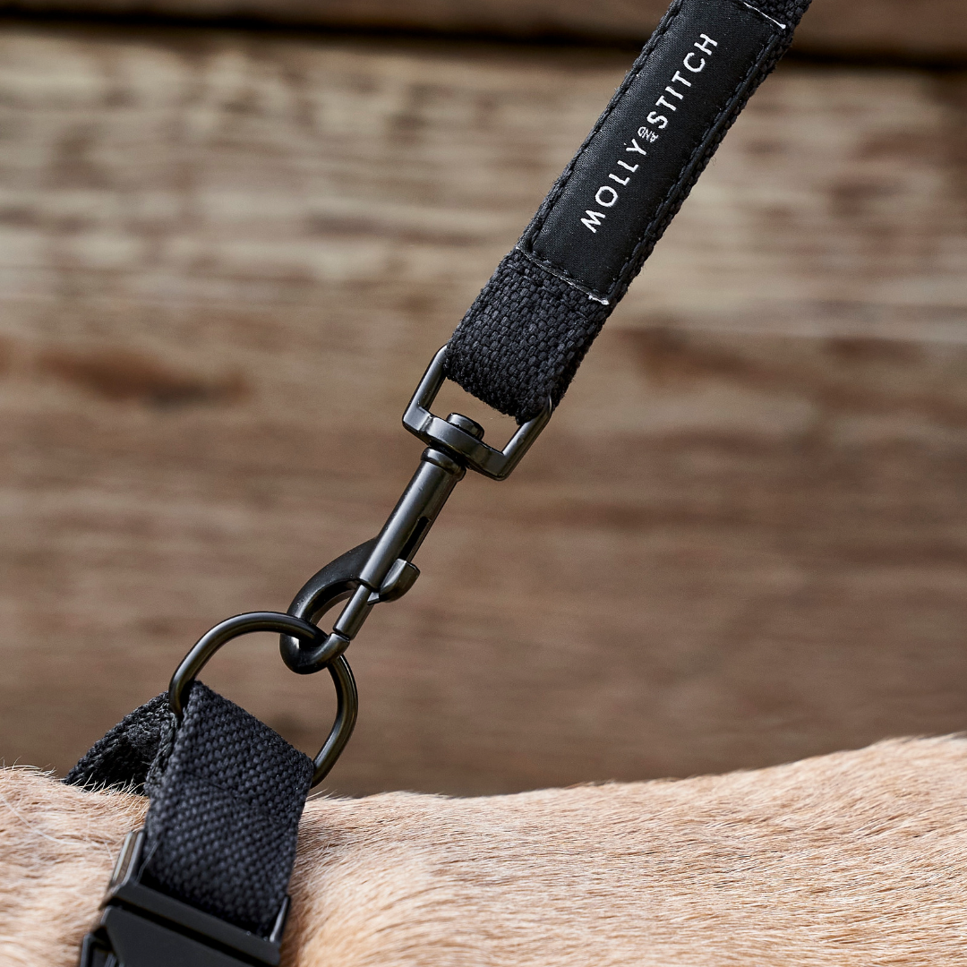 Soft Rock Adjustable Leash - Black by Molly And Stitch US