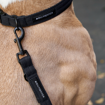 Soft Rock Adjustable Leash - Black by Molly And Stitch US