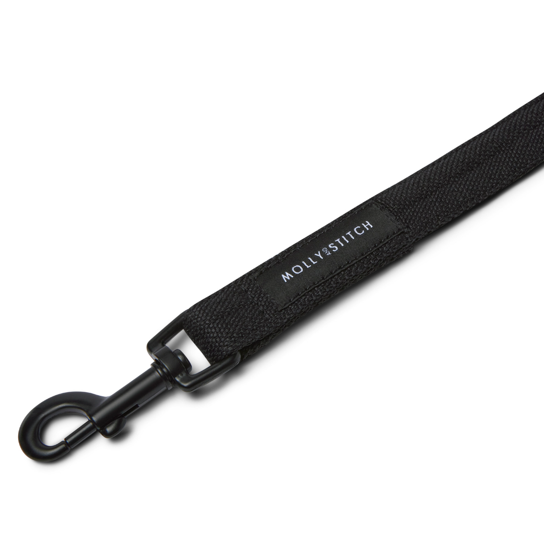 Soft Rock City Leash - Black by Molly And Stitch US