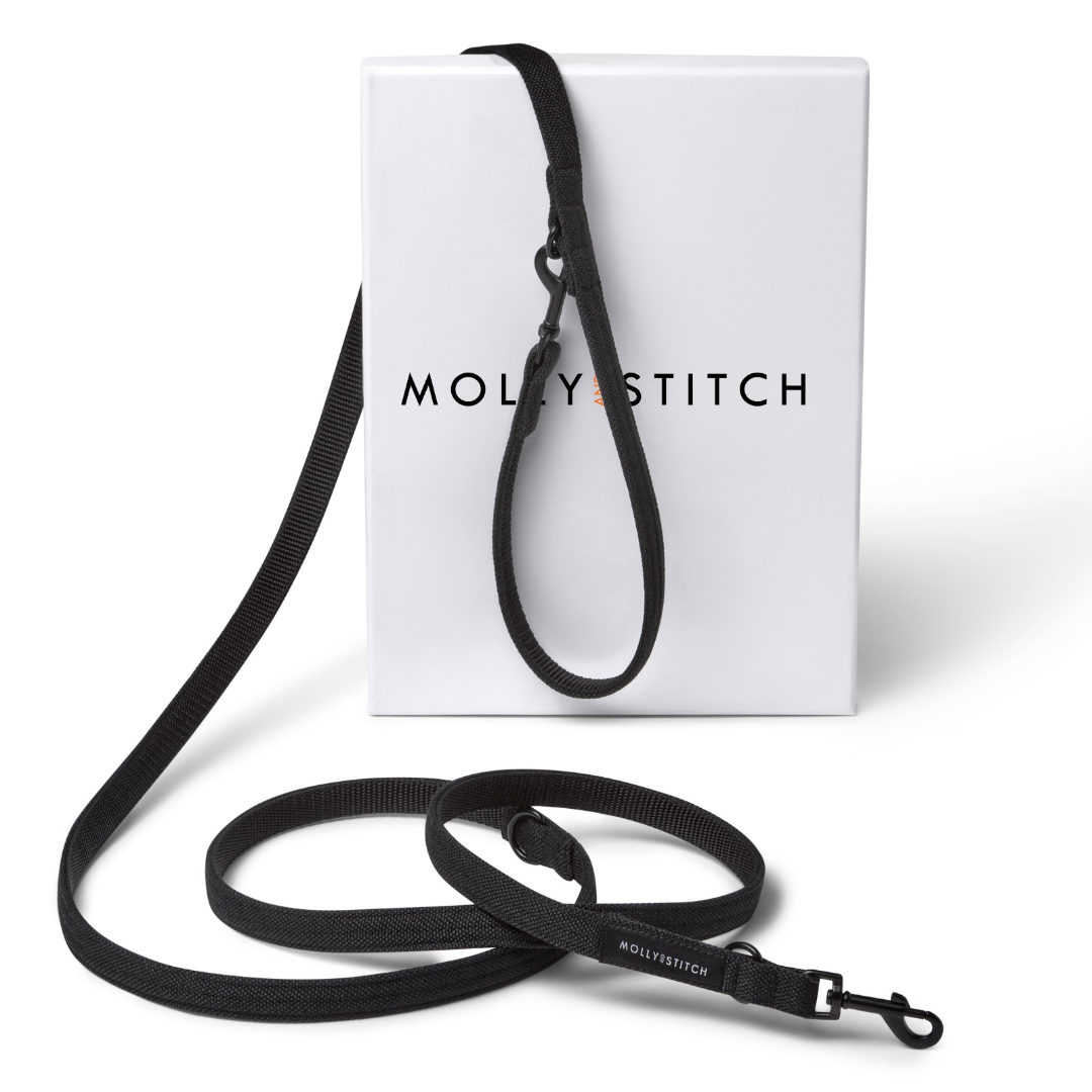 Soft Rock Adjustable Leash - Black by Molly And Stitch US