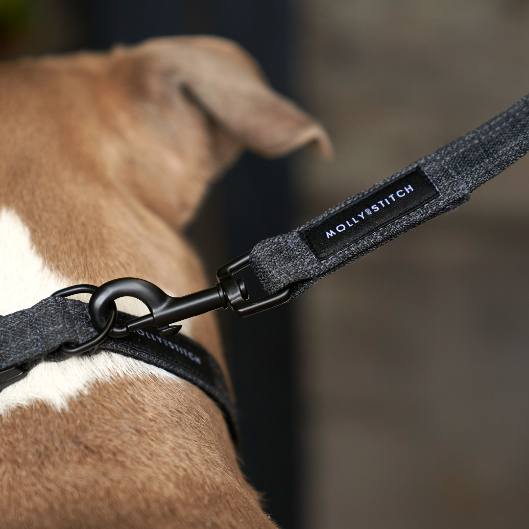 Soft Rock City Leash - Grey by Molly And Stitch US