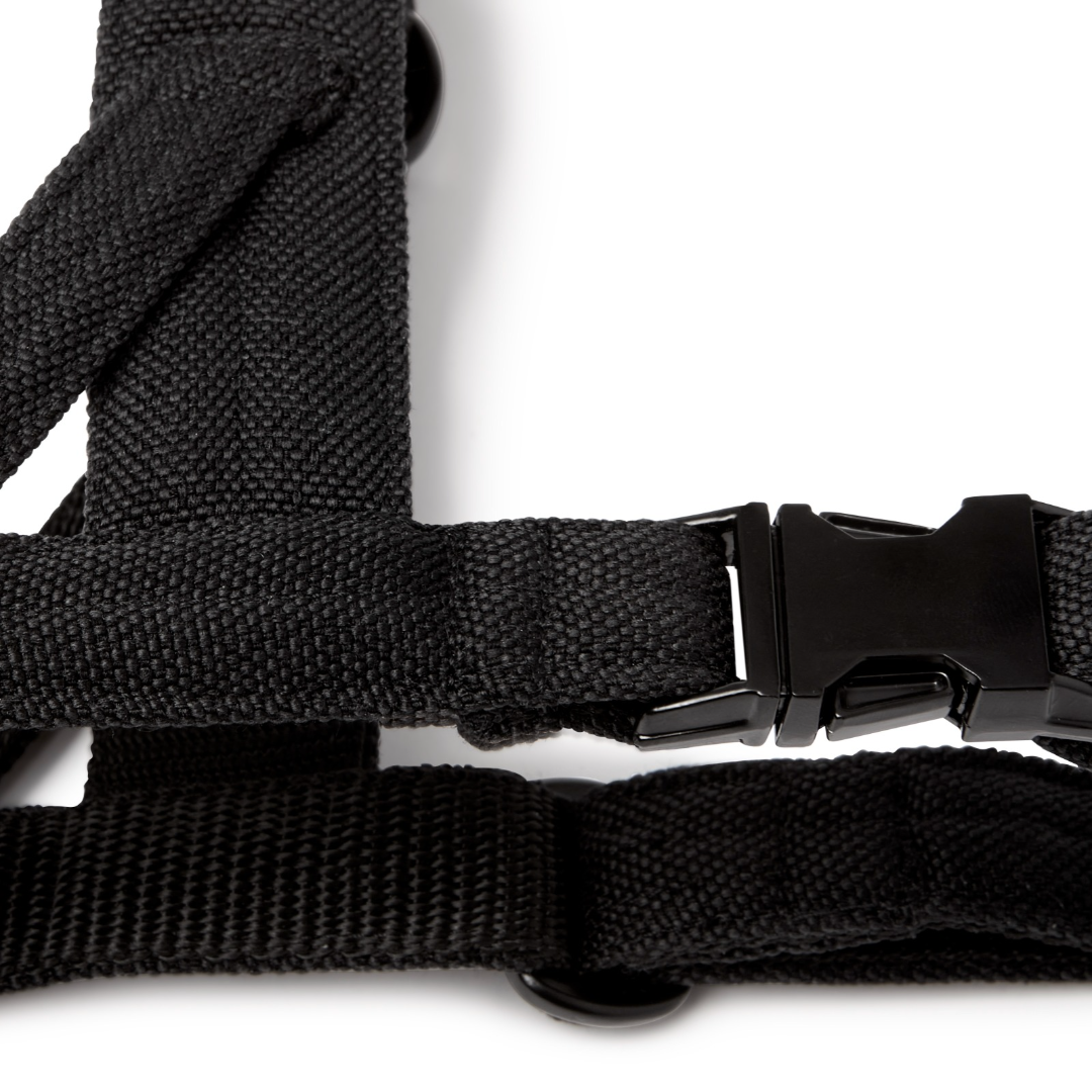 Soft Rock Harness - Black by Molly And Stitch US