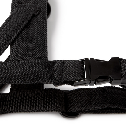 Soft Rock Harness - Black by Molly And Stitch US