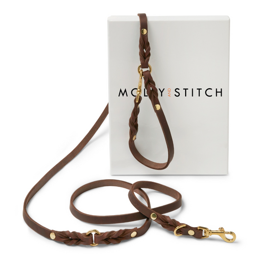 Butter Leather 3x Adjustable Dog Leash - Classic Brown by Molly And Stitch US