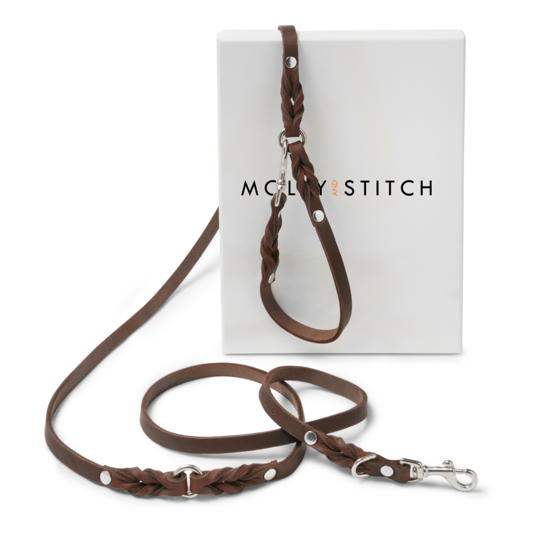Butter Leather 3x Adjustable Dog Leash - Classic Brown by Molly And Stitch US