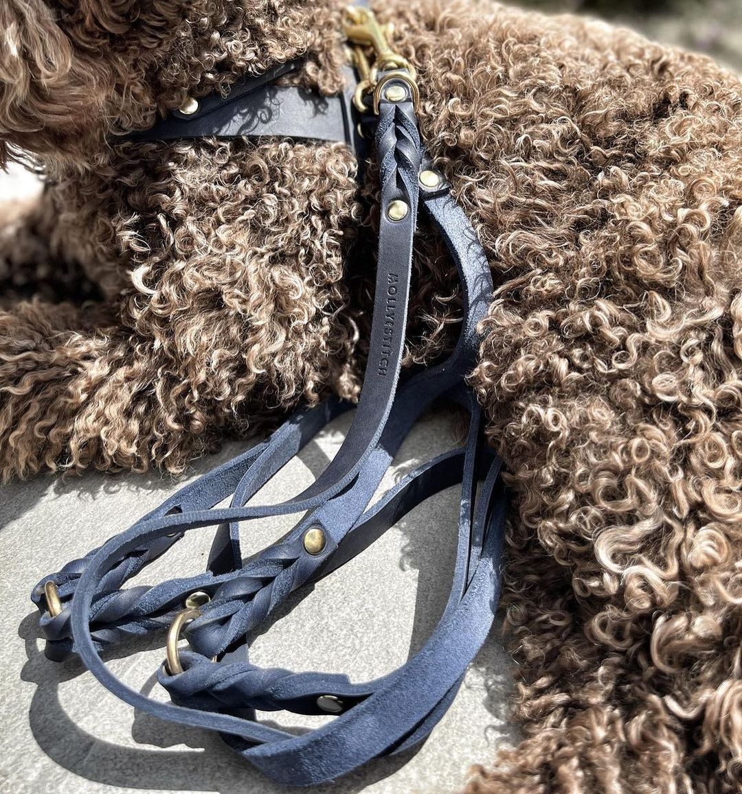 Butter Leather 3x Adjustable Dog Leash - Navy Blue by Molly And Stitch US