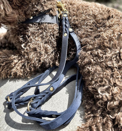 Butter Leather 3x Adjustable Dog Leash - Navy Blue by Molly And Stitch US