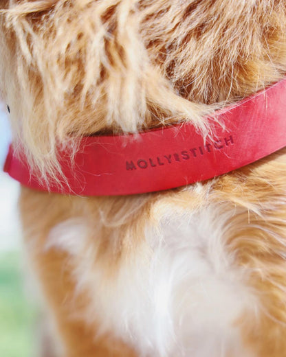 Butter Leather Dog Harness - Chili Red by Molly And Stitch US