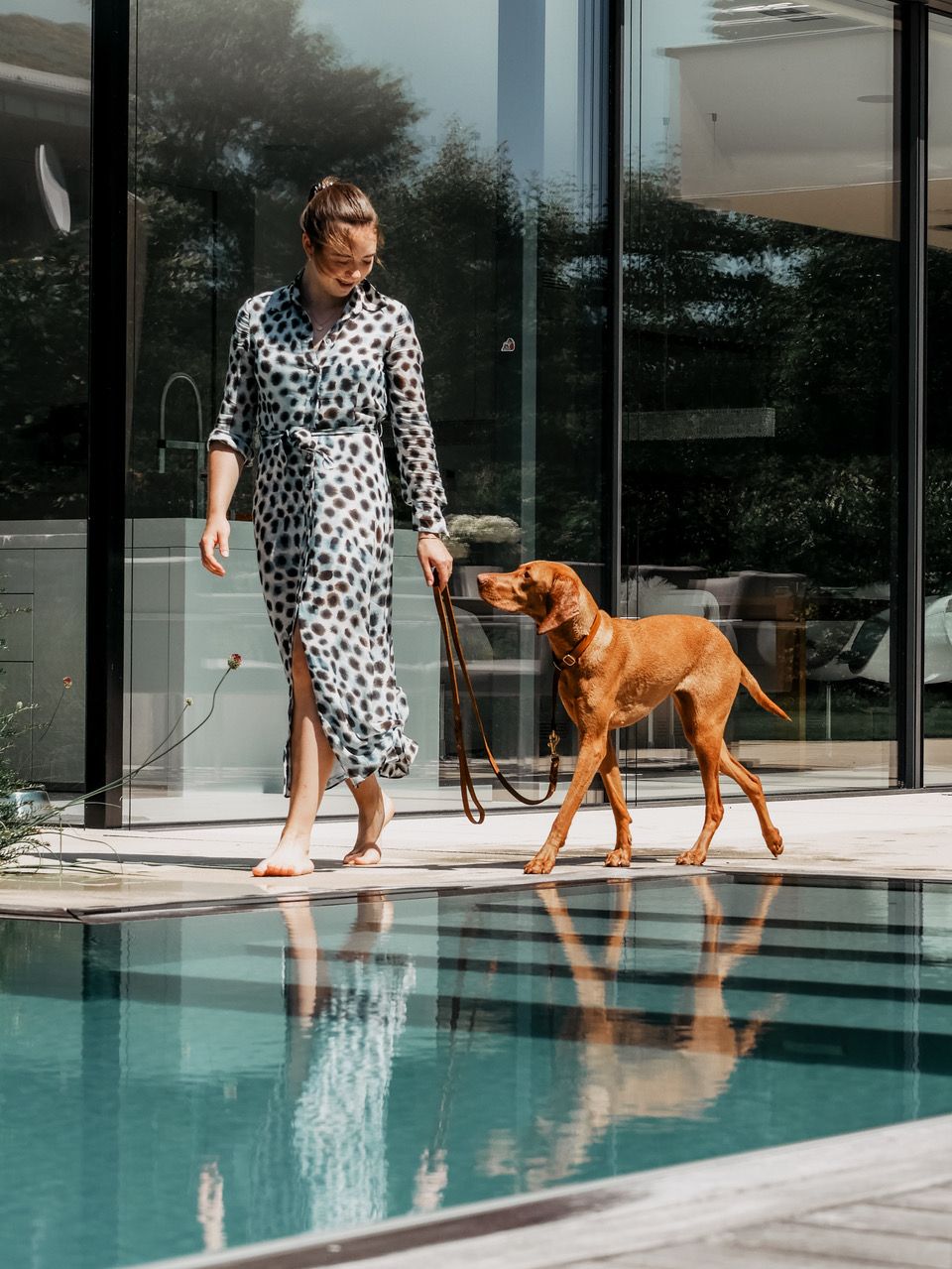 Butter Leather Retriever Dog Collar - Sahara Cognac by Molly And Stitch US