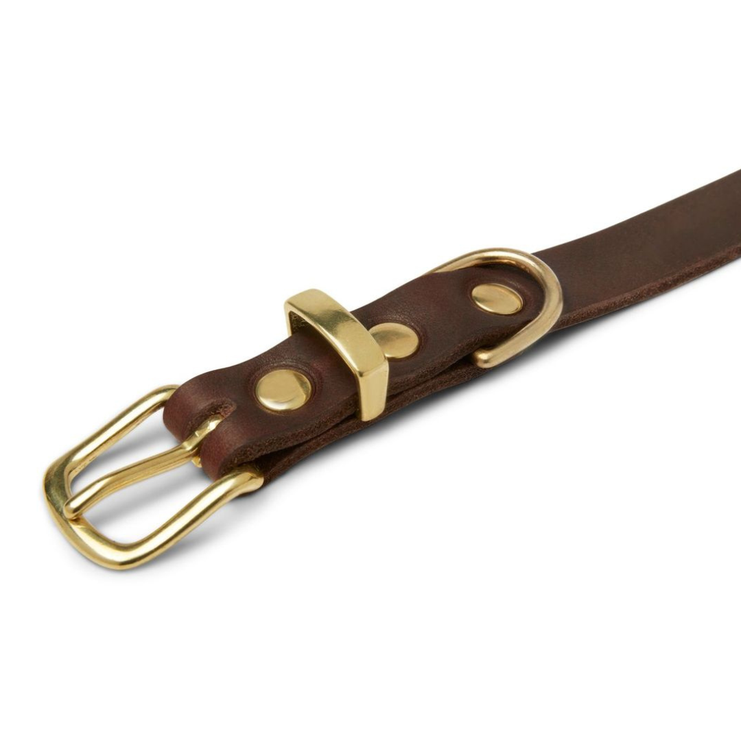 Butter Leather Dog Collar - Classic Brown by Molly And Stitch US