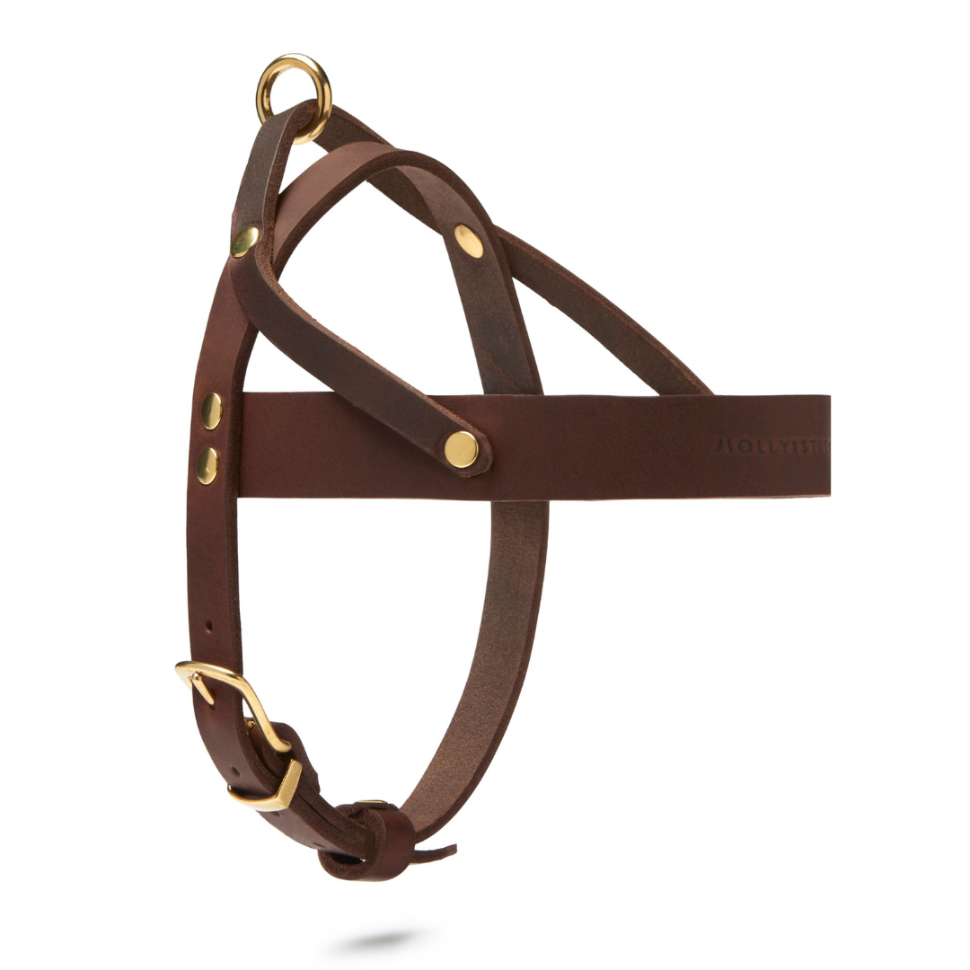 Butter Leather Dog Harness - Classic Brown by Molly And Stitch US