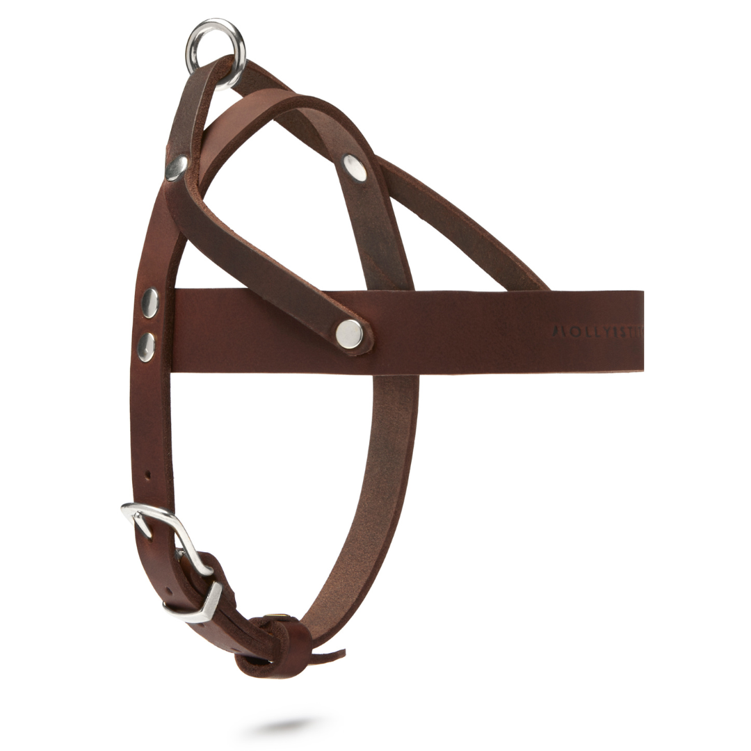 Butter Leather Dog Harness - Classic Brown by Molly And Stitch US