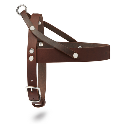 Butter Leather Dog Harness - Classic Brown by Molly And Stitch US