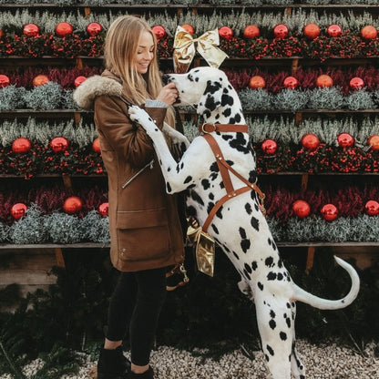 Butter Leather Dog Harness - Sahara Cognac by Molly And Stitch US