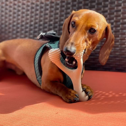 BetterBone HARD- Tough, SUPER Durable All-Natural, Dog Chews - For Aggressive Chewers. by The Better Bone Natural Dog Bone