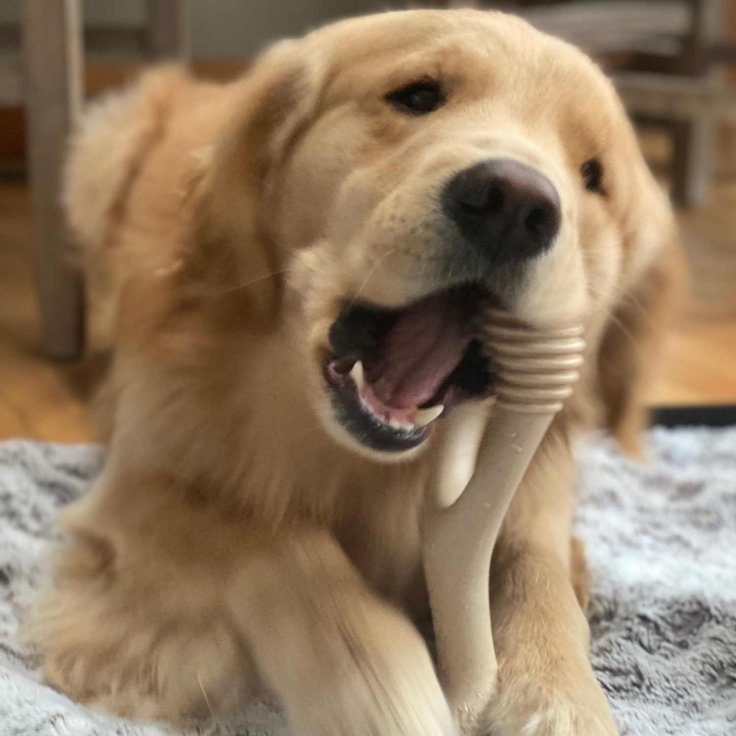 BetterBone HARD- Tough, SUPER Durable All-Natural, Dog Chews - For Aggressive Chewers. by The Better Bone Natural Dog Bone