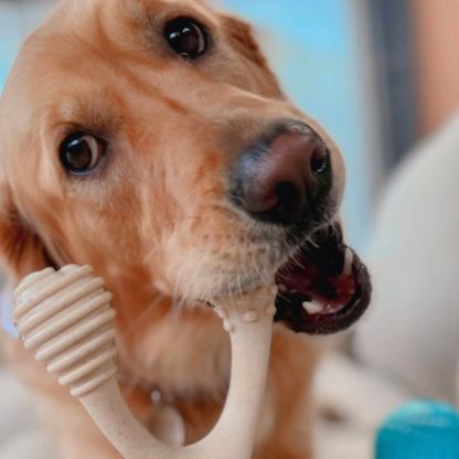 BetterBone SOFT - Classic, All-Natural, Perfect for teething Puppies, Older dogs, LIGHT chewers by The Better Bone Natural Dog Bone