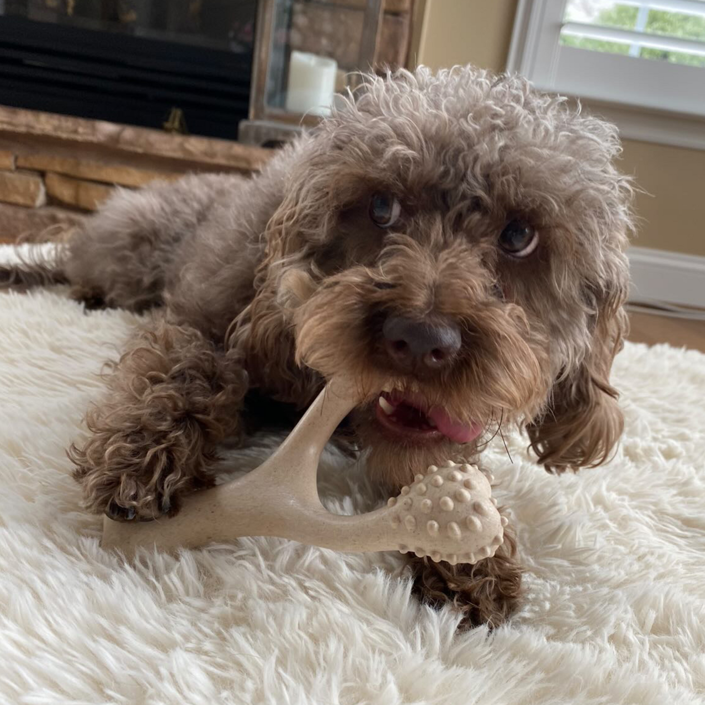 BetterBone HARD- Tough, SUPER Durable All-Natural, Dog Chews - For Aggressive Chewers. by The Better Bone Natural Dog Bone