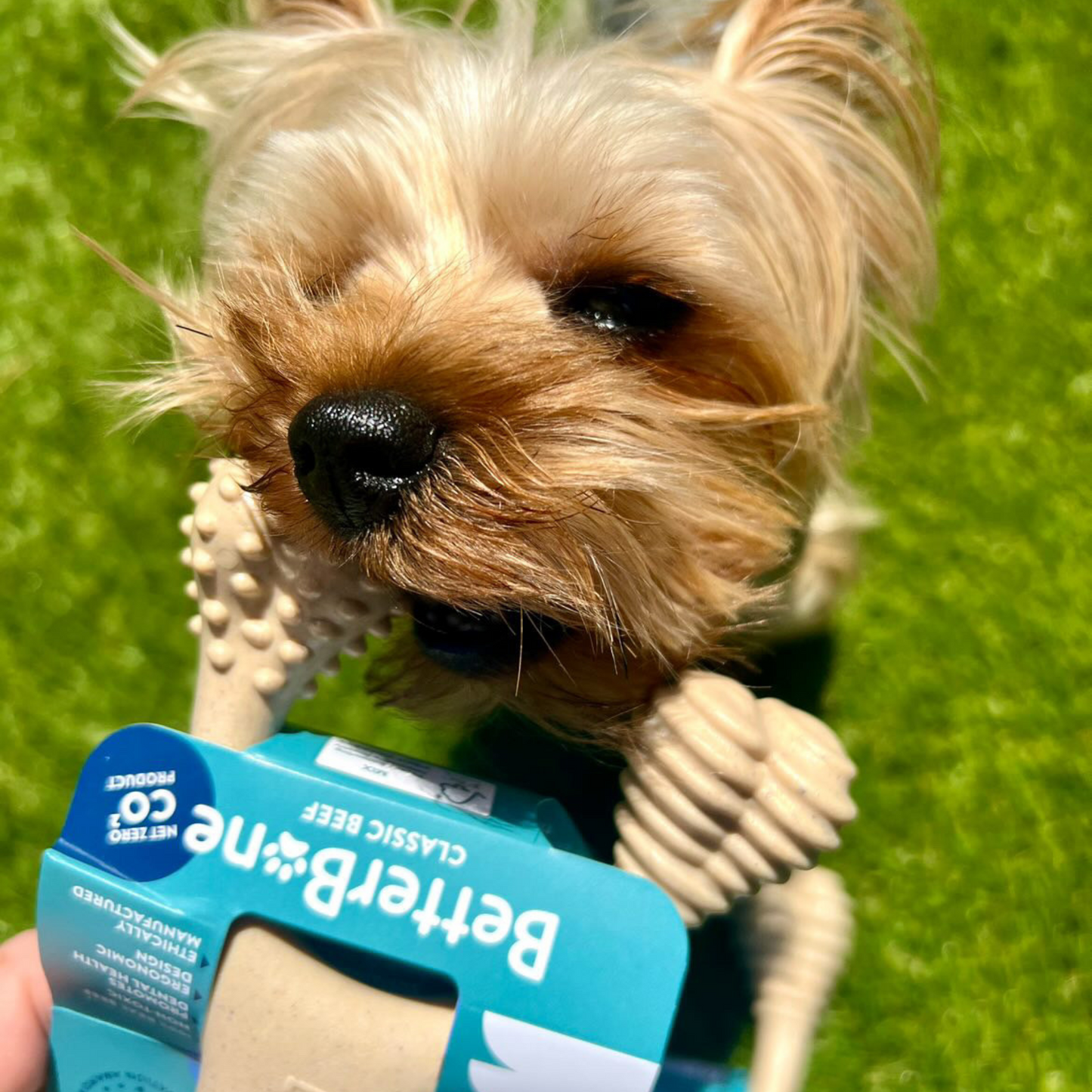 BetterBone SOFT - Classic, All-Natural, Perfect for teething Puppies, Older dogs, LIGHT chewers by The Better Bone Natural Dog Bone