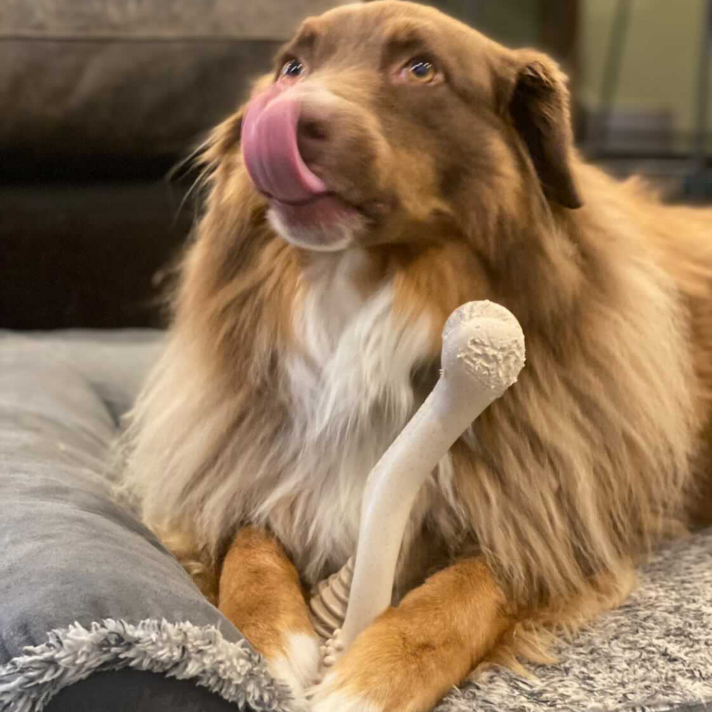 BetterBone HARD- Tough, SUPER Durable All-Natural, Dog Chews - For Aggressive Chewers. by The Better Bone Natural Dog Bone