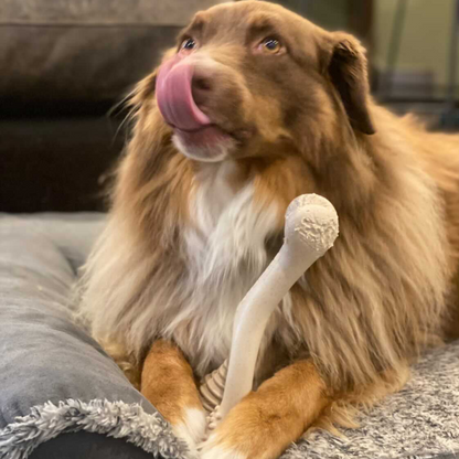 BetterBone HARD- Tough, SUPER Durable All-Natural, Dog Chews - For Aggressive Chewers. by The Better Bone Natural Dog Bone