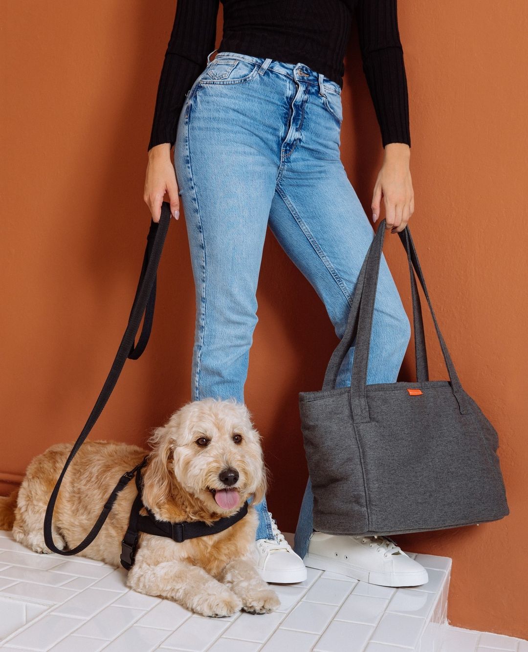 Soft Rock City Leash - Black by Molly And Stitch US