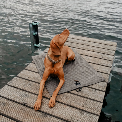 Honeycomb Dog Travel Mat - Grey by Molly And Stitch US
