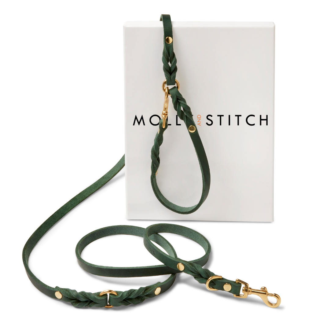 Butter Leather 3x Adjustable Dog Leash - Forest Green by Molly And Stitch US