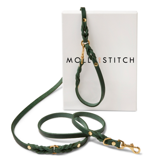 Butter Leather 3x Adjustable Dog Leash - Forest Green by Molly And Stitch US